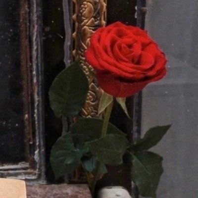 استودعتك نفسي ومن احبهم يالله