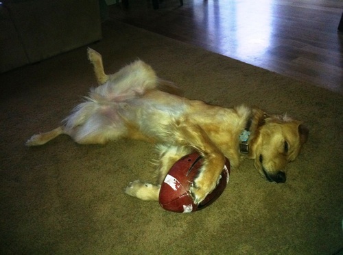 JillAllison3's profile picture. 