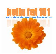 Belly Fat 101: Get the Skinny on Losing Fat! We are a solid voice providing clear information on all facets of your journey.