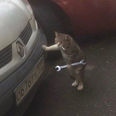 Georgeheyy's profile picture. hey