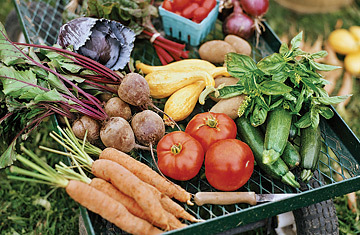 In partnership with Windflower Farm in Valley Falls, NY, we buy fresh, healthy food straight from farms upstate.