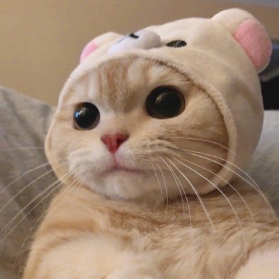 Tvxq_XL's profile picture. 