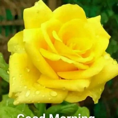 Samguru85212836's profile picture. 