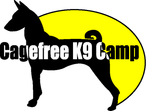 CageFreeK9Camp Profile Picture