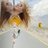 girlstravelmag's profile image