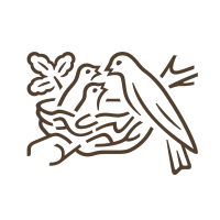 Nestlé Pakistan (@nestlepakistan) Twitter profile photo