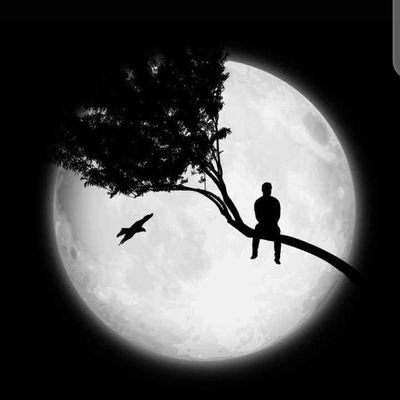 dangosteel's profile picture. God Lover❤😇 ,
Philippians 4:13 
above all, let love lead❤