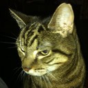 James Hirons - @JamesHirons - Twitter