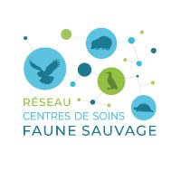 Réseau Centres de soins faune sauvage (@reseaufaune) 's Twitter Profile Photo Réseau Centres de soins faune sauvage (@reseaufaune) 's Twitter Profile Photo