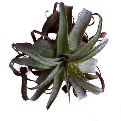 GimppyK's profile picture. Player 1 (level 1) enters