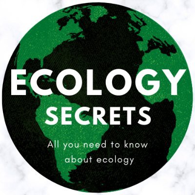 All you need to know about ecology 🌍
Ecology knowledge 🌐
Practical guides🖋️
Facts 💪
Help us to make the world green 🏞️🌿
Follow us for eco education !