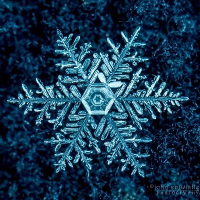 ❄❄☃☃❄❄
