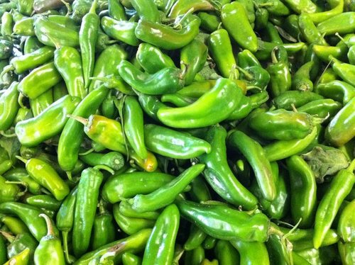 Do you love Green Chile grown in New Mexico? Lets talk about our love for Green Chile & what dishes we love to eat. Shipping chile all over the US, order now!