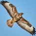 iNatureUK (@inatureuk) Twitter profile photo iNatureUK (@inatureuk) Twitter profile photo