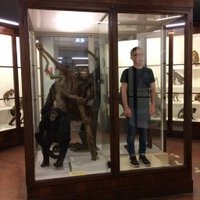 J.P. Robinson (@mrjprobinson) 's Twitter Profile