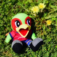 ファジアーノ岡山グッズ担当 (@fagiano_goods) 's Twitter Profile Photo ファジアーノ岡山グッズ担当 (@fagiano_goods) 's Twitter Profile Photo