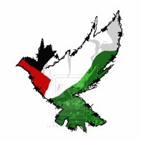 🔻BOYCOTT ISRAEL🔻 (@randomandcasua1) 's Twitter Profile