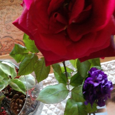 AIMARFR's profile picture. 