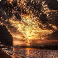 Tolga (@tolga14888053) 's Twitter Profile