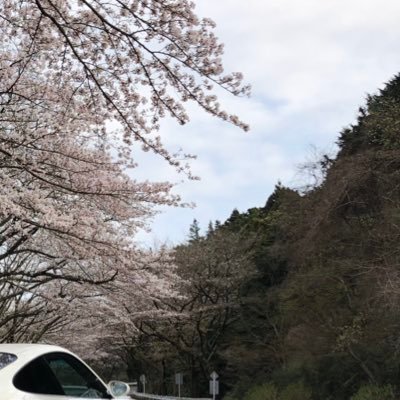 Alan_911_k_10's profile picture. 無言フォロー失礼致します。 たまにツイートします。