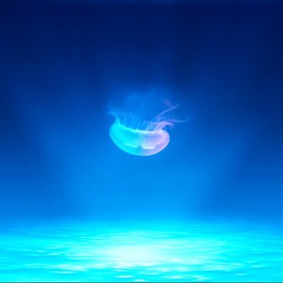 cubebot17's profile picture. UI/UX & Motion Designer. no crypto.