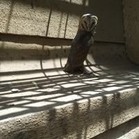 VimleshTrivedi2's profile picture. 