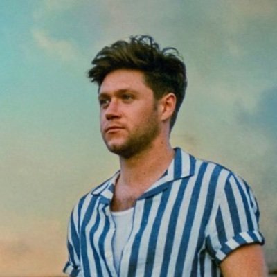 slowhandsxhoran's profile picture. Niall is pretty cool