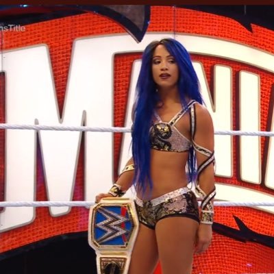 WrestleViewz's profile picture. Wrestling Fan. Just my own thoughts 💭