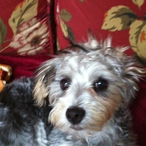 mickapep's profile picture. 