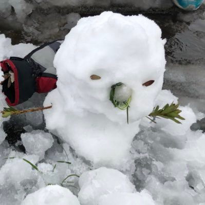 麦踏み とりあえず 港区 青山が子育てに向かない土地という事はしっかりとわかった 子供達の命の価値より 港区の価値のが大事という事ですね とくダネ