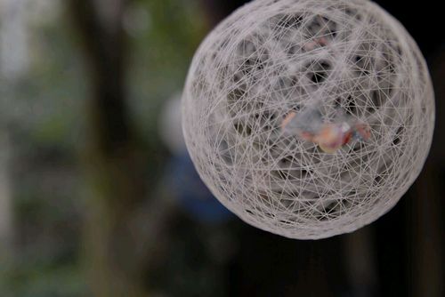 nonta0510's profile picture. 名古屋在住の日本酒好き。いつも間にかかなりマニアになっているような。冬はボードにはまっているが足がない。最近D200をあまり使っていないので色々撮りに行きたい。