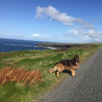 @GaeilgeChorcaBaiscinn (@gaeilgechorcab1) 's Twitter Profile