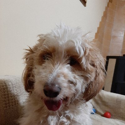 evivacrypto's profile picture. 