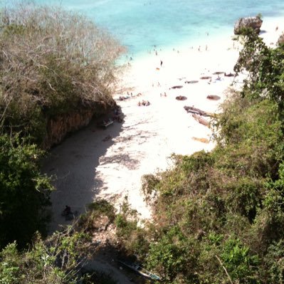 harusanpoon's profile picture. 