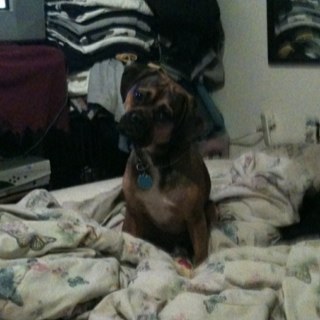 54JOKER54's profile picture. :) be happy, and if you cant be happy dont take away happiness from others work towards finding your own..peacefully. comfortably calculated