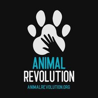 Animal Revolution(@AnimalRevol) 's Twitter Profile Photo