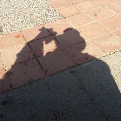 Marcela_Newen's profile picture. Tengo esperanzas...