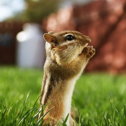 jlbpmnhome's profile picture. 