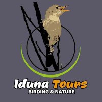 Iduna Tours Birding & Nature(@IdunaTours) 's Twitter Profile Photo