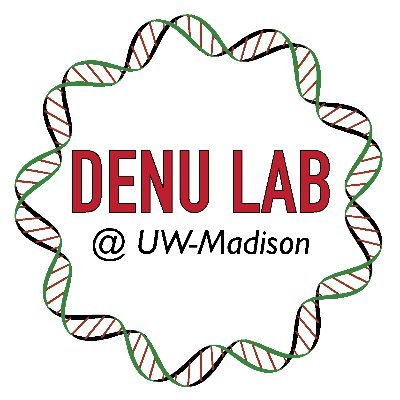 Denu Lab