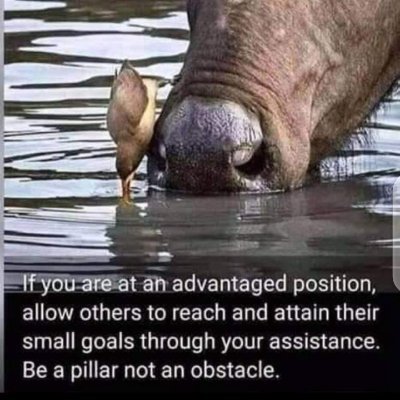 AjayiSimeonxx's profile picture. Tech Enthusiast, Blockchain Enthusiast , learning about digital currencies
Cool and calm
Follow me I promise to follow back🎉