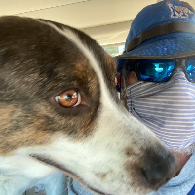 Trumpgrabskitty's profile picture. 