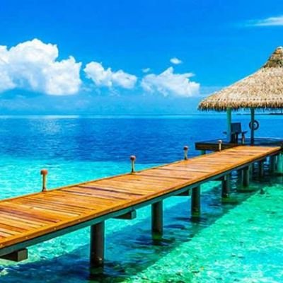 cennet_gozlum08's profile picture. 