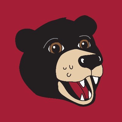 Not just your average bear 🐻 The official mascot of @lenoirrhyne and @BearsSports