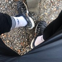 trackies_ch (@trackiesc) 's Twitter Profile