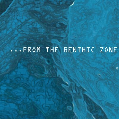 ...From The Benthic Zone music is emotive, evocative and playful. This ain't floor-filling banger territory. https://t.co/P4N9sDvoSf