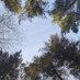 Lorna Lagerman (@woodlandwildli2) Twitter profile photo Lorna Lagerman (@woodlandwildli2) Twitter profile photo