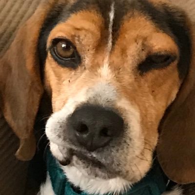 rccolts81's profile picture. Be thankful for everything GOD has blessed you with!! Also, GO COLTS!!!