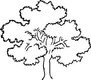 charteroaklease's profile picture. Charter Oak Equipment Leasing Solutions, LLC 
Full Services- Equipment Leasing Company 
We have Markets for all of your Equipment Leasing needs.