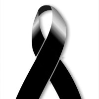 M. Martinez (@migangmartinez) 's Twitter Profile